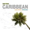 BWI Express - Caribbean Lounge Steel Drum Ensemble lyrics