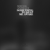 Social Animals - Something To Keep Me Awake