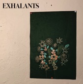 exhalants - Bang