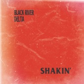 Black River Delta - Shakin'