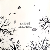 Yo No Sé artwork