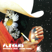 Invisible (feat. Laura Vane) - Flevans