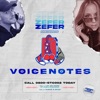 Voicenotes - Single