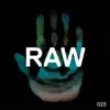 Stream & download Raw 023 - Single