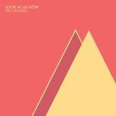 Look At Us Now artwork