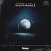 Nightingale - Single