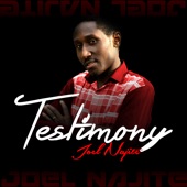 Testimony artwork