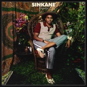 Sinkane - Everybody