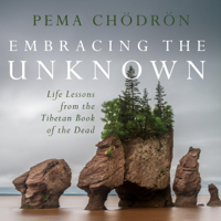 Pema Chödrön - Embracing the Unknown: Life Lessons from the Tibetan Book of the Dead (Original Recording) artwork