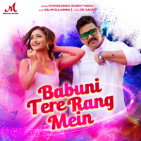 Salim-Sulaiman, Pawan Singh & Sharvi Yadav - Babuni Tere Rang Mein - Single artwork