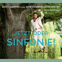 Bodo Wartke & WDR Funkhausorchester - Jetzt oder Sinfonie! artwork