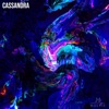 Cassandra - Single