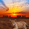 New Day - EP