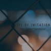 Life of Imitation - Single