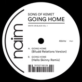 Going Home (Blludd Relations Version) artwork