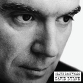 Glass, Concrete & Stone by David Byrne