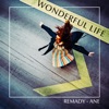 Wonderful Life - Single