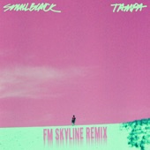 Tampa (FM Skyline Remix) [7" Version] [FM Skyline 7Remix] artwork
