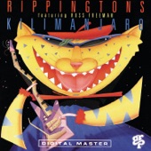 Russ Freeman;The Rippingtons - Northern Lights (Album Version)