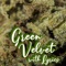 Green Velvet - IdiOtBuRNs lyrics