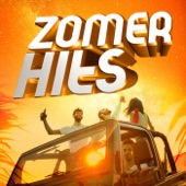 Zomer Hits artwork