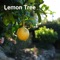 Lemon Tree artwork