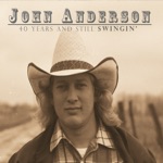 John Anderson - Would You Catch a Fallen Star