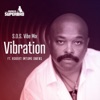 Vibration (S.O.S Vibe Mix) [feat. Robert Imtume Owens] - Single