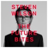 Steven Wilson - 12 THINGS I FORGOT