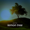 Lemon Tree - Gustixa