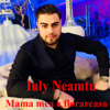 Ai O Fusta Cu Dulceata (feat. Costel Biju) - Iuly Neamtu