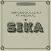 Sika (feat. Medikal) - Single