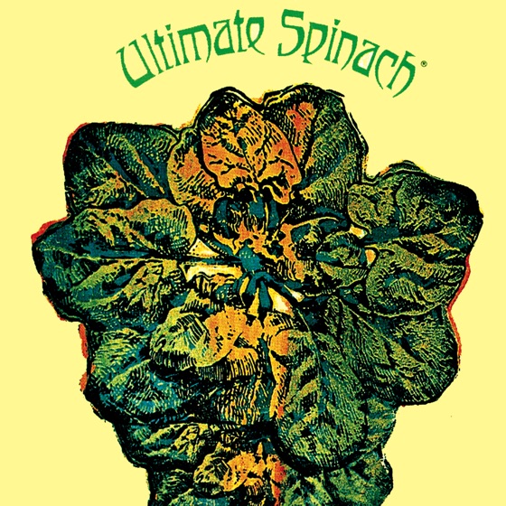 Cover artwork for PAMELA