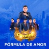 Fórmula de Amor