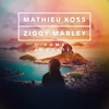 Mathieu Koss - HOME