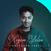 Temesghen Yared (Eritrean Music) artwork