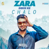 Zara Dekh Ke Chalo artwork