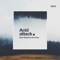 Acid Attack - Ann Clue & Boris Brejcha lyrics