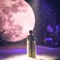 Leela - Meesha Shafi lyrics
