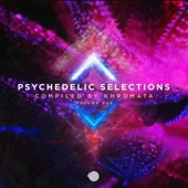 Psychedelic Selections Vol 005 artwork