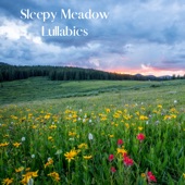 Sleepy Meadow Lullabies artwork
