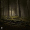 Yoram - Rooted