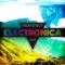 Flying South (Radio Edit) - Erik Hakansson lyrics
