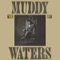 (My Eyes) Keep Me In Trouble - Muddy Waters lyrics