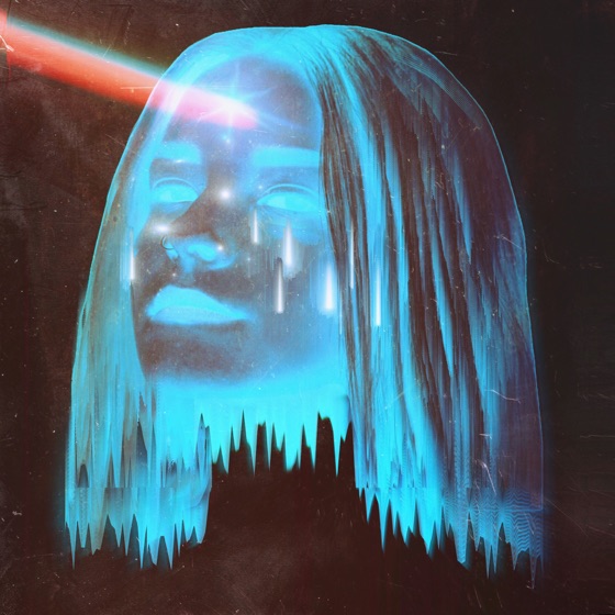 Cover artwork for Swallow