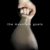 The Mountain Goats - This Year