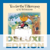 Tea for the Tillerman (Deluxe Edition) artwork