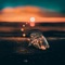 Falling Fireflies - Thomas Sanders lyrics