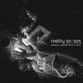 Reality Senses artwork