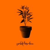 Wild Herb artwork